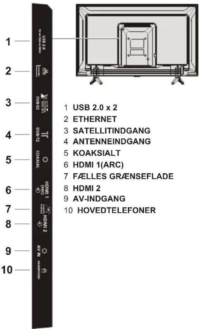 PANASONIC TX43LS500E - Terminaler - 1