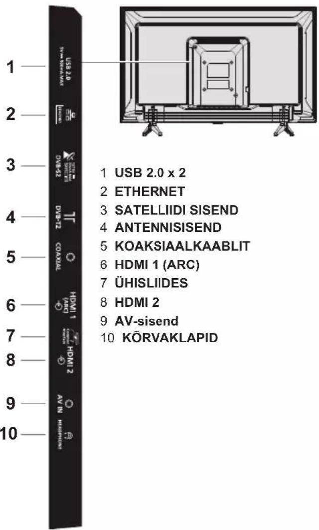 PANASONIC TX32LS500E - Liidesed - 1