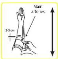 BRAUN ExactFit 1 BUA 5000 - Applying the arm cuff - 3