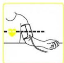 BRAUN ExactFit 1 BUA 5000 - Applying the arm cuff - 6