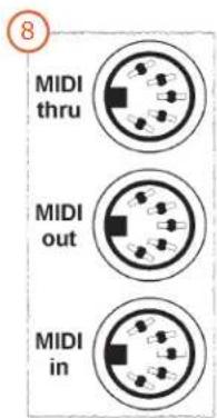 MIDI thru MIDI out MIDI in