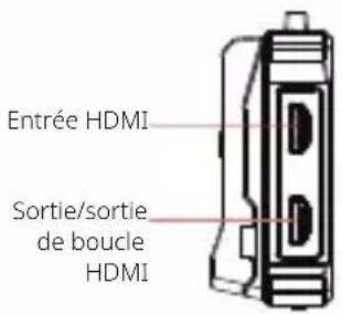 Hollyland Mars M1 - Description de l'interface - 2