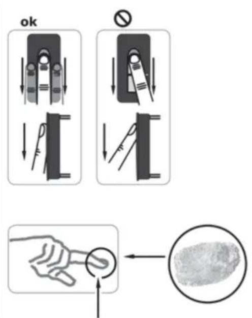 Vimar ELVOX 12A4 - X2-X7 Spring terminals - 2