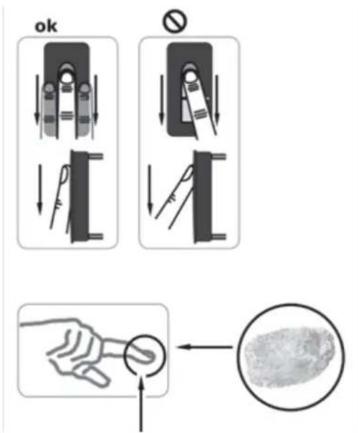 Vimar ELVOX 12A4 - Operating the fingerprint scanner - 2