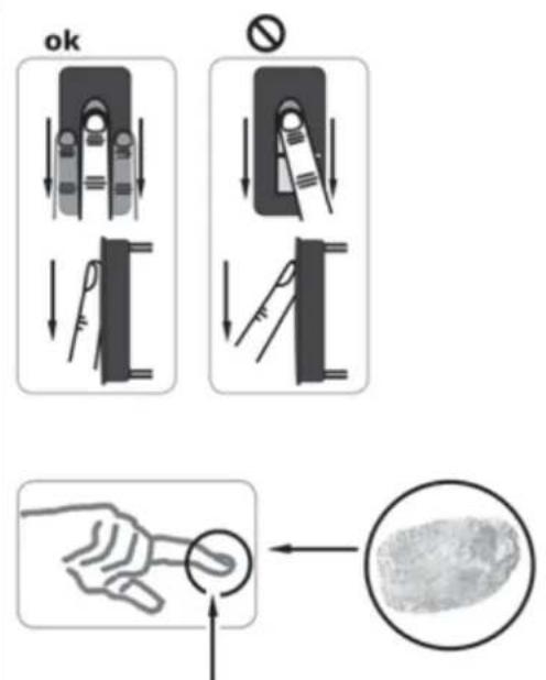 Vimar ELVOX 12A4 - Operating the fingerprint scanner - 1