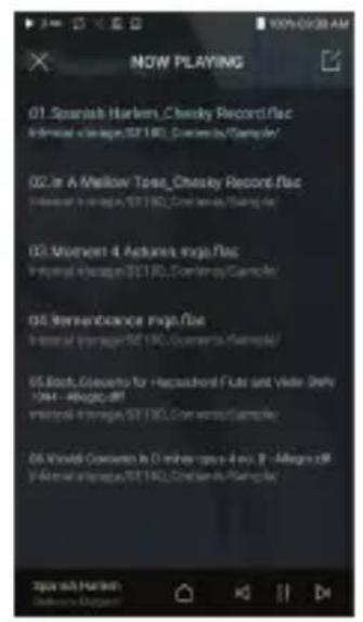 ASTELL KERN SE180 - Afficher la liste de lecture en cours - 2