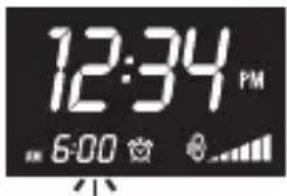 Conair Luna WCR450 - Setting the Alarm - 2