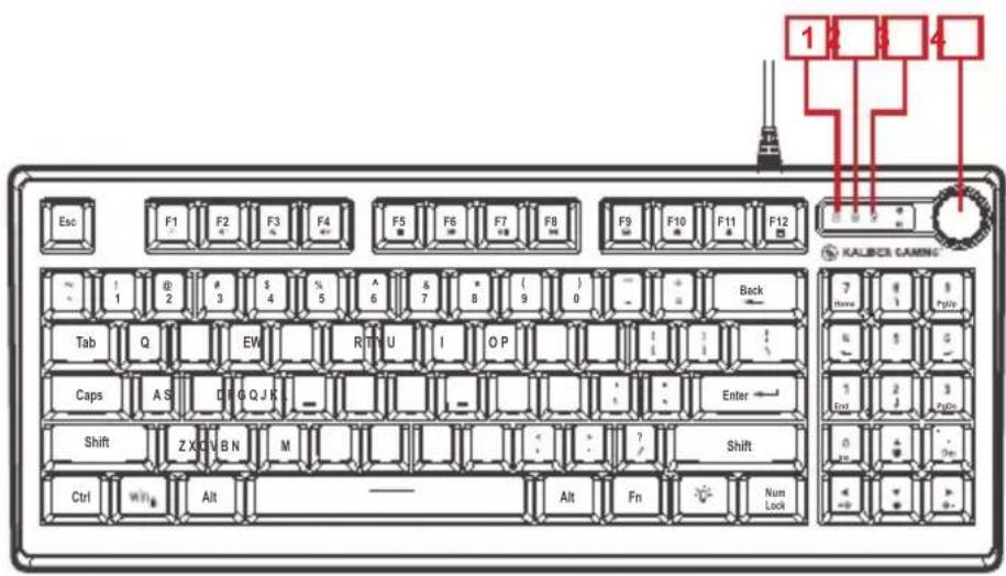 IOGEAR Korona Kore II GKM601 - Ratón - Vista Posterior - 2