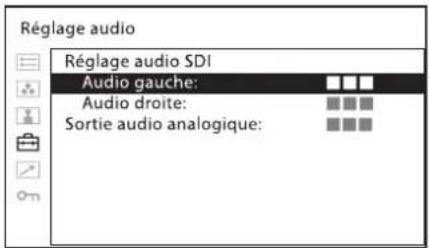 SONY LMDB240 - Réglage audio - 1
