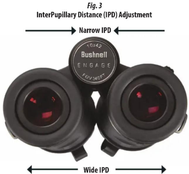 BUSHNELL Engage DX 12x50 - FOCUS AND DIOPTER ADJUSTMENT - 2