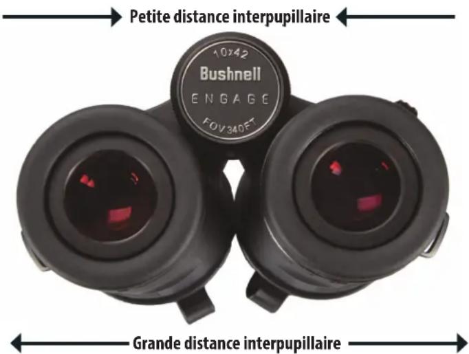 BUSHNELL Engage DX 12x50 - AJUSTEMENT DE LA DISTANCE INTERPUPILLAIRE - 3