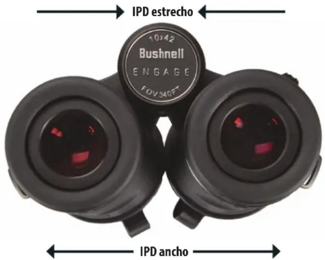 BUSHNELL Engage DX 12x50 - AJUSTE DE FOCO Y DIOPTRÍA - 4