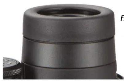 BUSHNELL Engage DX 12x50 - AJUSTE DE FOCO Y DIOPTRÍA - 2