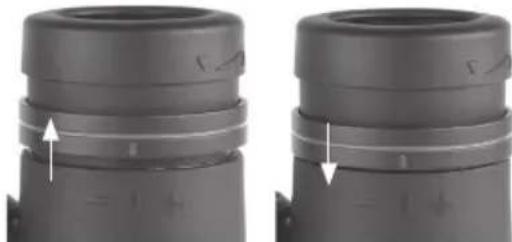 BUSHNELL Engage EDX 10x42 - Ajuste IPD (Distancia Interpupilar - 4