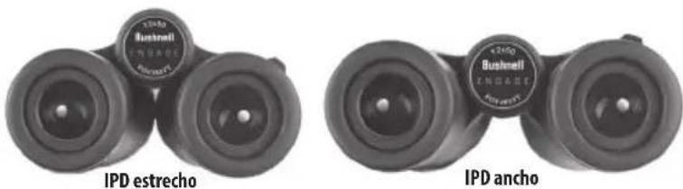 BUSHNELL Engage EDX 10x42 - Ajuste IPD (Distancia Interpupilar - 3