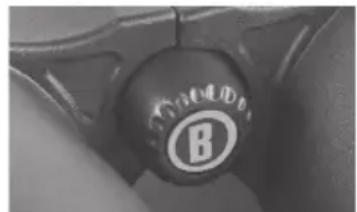 BUSHNELL Engage EDX 10x42 - Cuidado de la optica - 1