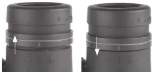 BUSHNELL Engage EDX 10x42 - Ajustement de I'ecart inter-pupillaire - 4