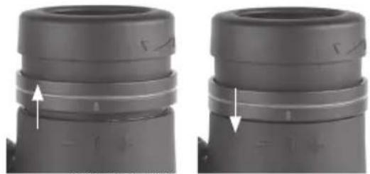BUSHNELL Engage EDX 10x42 - IPD (Interpupillary Distance) Adjustment - 4