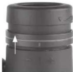BUSHNELL Engage EDX 10x42 - Regolazione IPD (Interpupillary Distance, distanza interpupillare) - 5