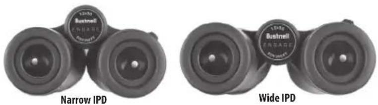 BUSHNELL Engage EDX 10x42 - IPD (Interpupillary Distance) Adjustment - 3