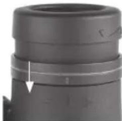 BUSHNELL Engage EDX 10x42 - Regolazione IPD (Interpupillary Distance, distanza interpupillare) - 6