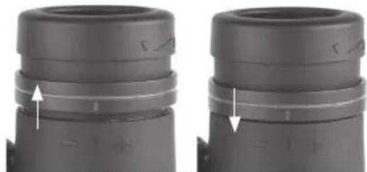 BUSHNELL Engage EDX 10x42 - Anpassung der Augenmuschel - 4