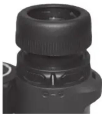 BUSHNELL Trophy Xtreme 8x56 - FOKUSSIEREN - 1