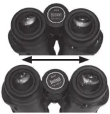 BUSHNELL Trophy Xtreme 8x56 - comoaabustarla distanciaentre sus ojos - 1