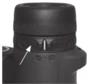 BUSHNELL Trophy Xtreme 8x56 - ENFOQUE - 2