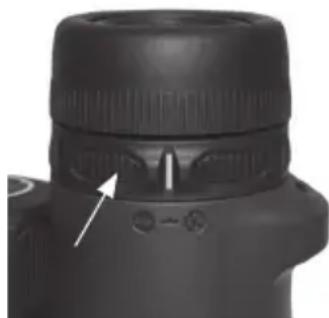 BUSHNELL Trophy Xtreme 8x56 - MISE AU POINT - 2