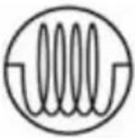 Ernesto IAN 388867 - - Eigenschaften - 2