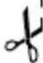 ZOOFARI IAN 378710 - Garancijski list - 1