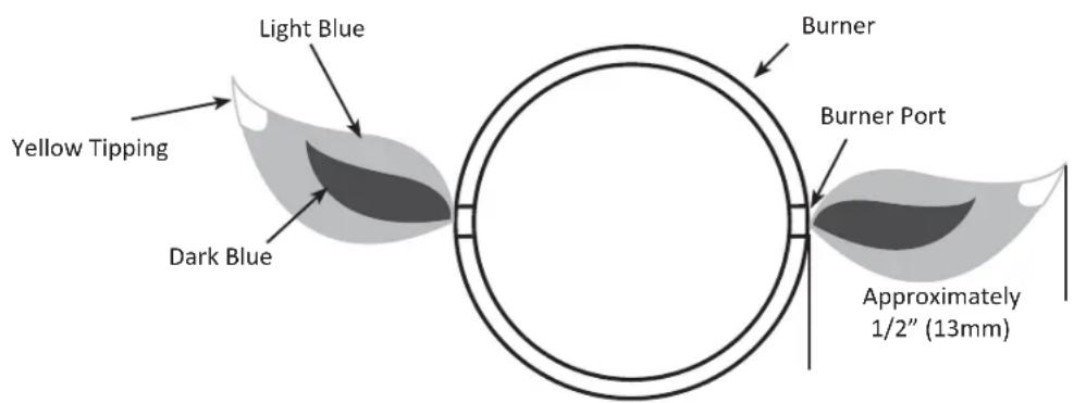 Napoleon LEX485RSIBP1 - Maintenance / Cleaning Instructions - 6