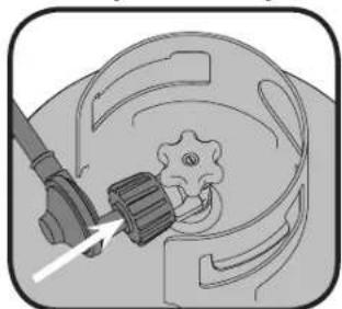 Napoleon LEX485RSIBP1 - Leak Testing Instructions - 10