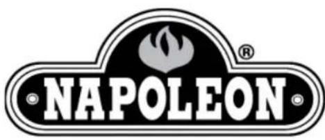 Napoleon P500RSIBP1 - 1