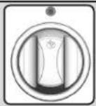 Napoleon P500RSIBP1 - Lighting Instructions - 3