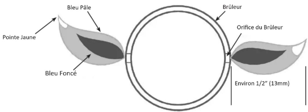 Napoleon BILEX730RBIN - Instructions D'entretien - 1