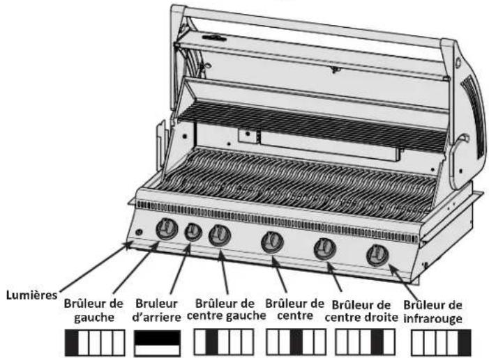 Napoleon BILEX730RBIN - Instruction D'allumage - 1