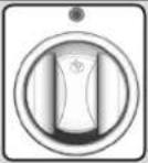 Napoleon P500RBN2 - Lighting Instructions - 3