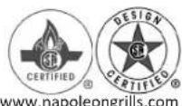 Napoleon P500RBN2 - DANGER - 1