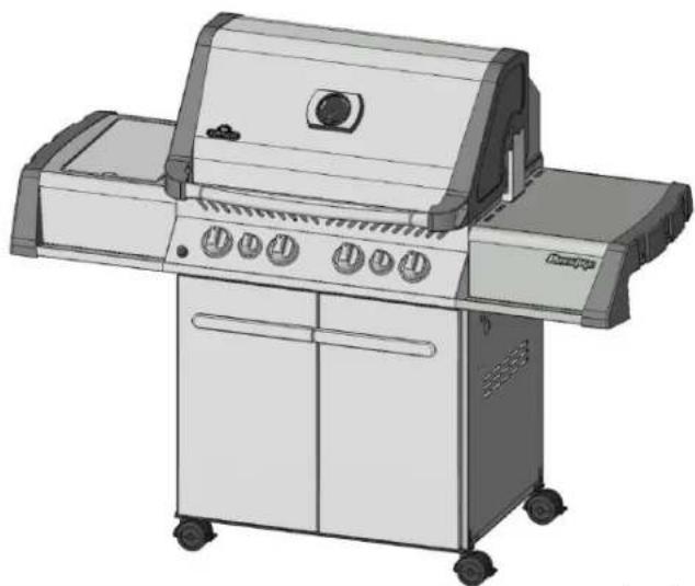 Napoleon P500RBN2 - 3