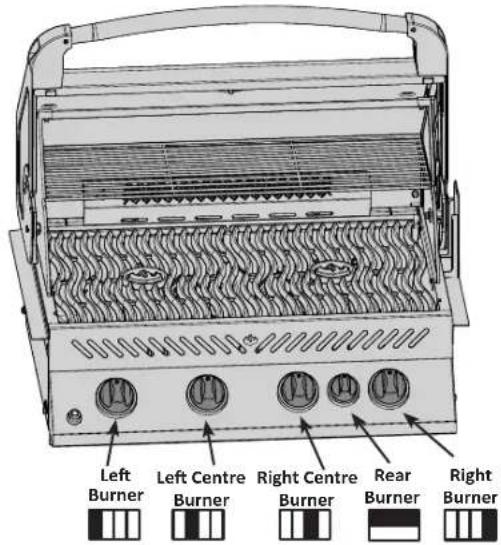 Napoleon BIPRO500RBN2 - Lighting Instructions - 1