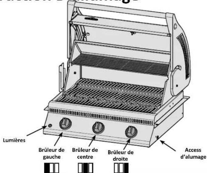 Napoleon BILEX485P1 - Instruction D'allumage - 1
