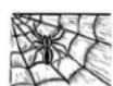 Napoleon T410SBP - CAUTION! Beware of Spider s. - 1