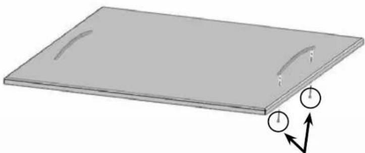 Napoleon BISZ300PFT - BISZ300FT / BISB245 - 1