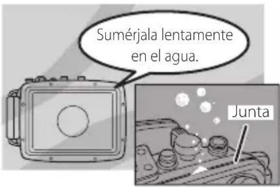 FUJIFILM WPFXF500 - Introduzcala en el agua durante 30segundos. - 1