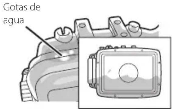 FUJIFILM WPFXF500 - Tras SACAR lentamente la caja estanca del agua, compruebe con atencion lo suiviente. - 1