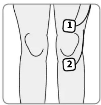 REVITIVE Medic Genou - Placement des petites électrodes corporelles pour le soulagement de la douleur – mode TENS ◎ - 1