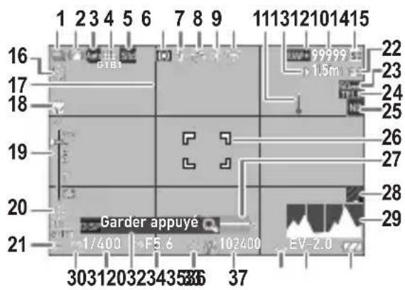 1 2 3 4 5 6 7 8 9 11 13 12 10 14 15 16 GTB1 17 18 19 20 21 Garder appuyé 1/400 F5.6 102400 EV-2.0 30312032343536 37