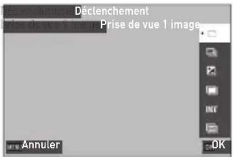 Déclenchement Prise de vue 1 image Annuler OK